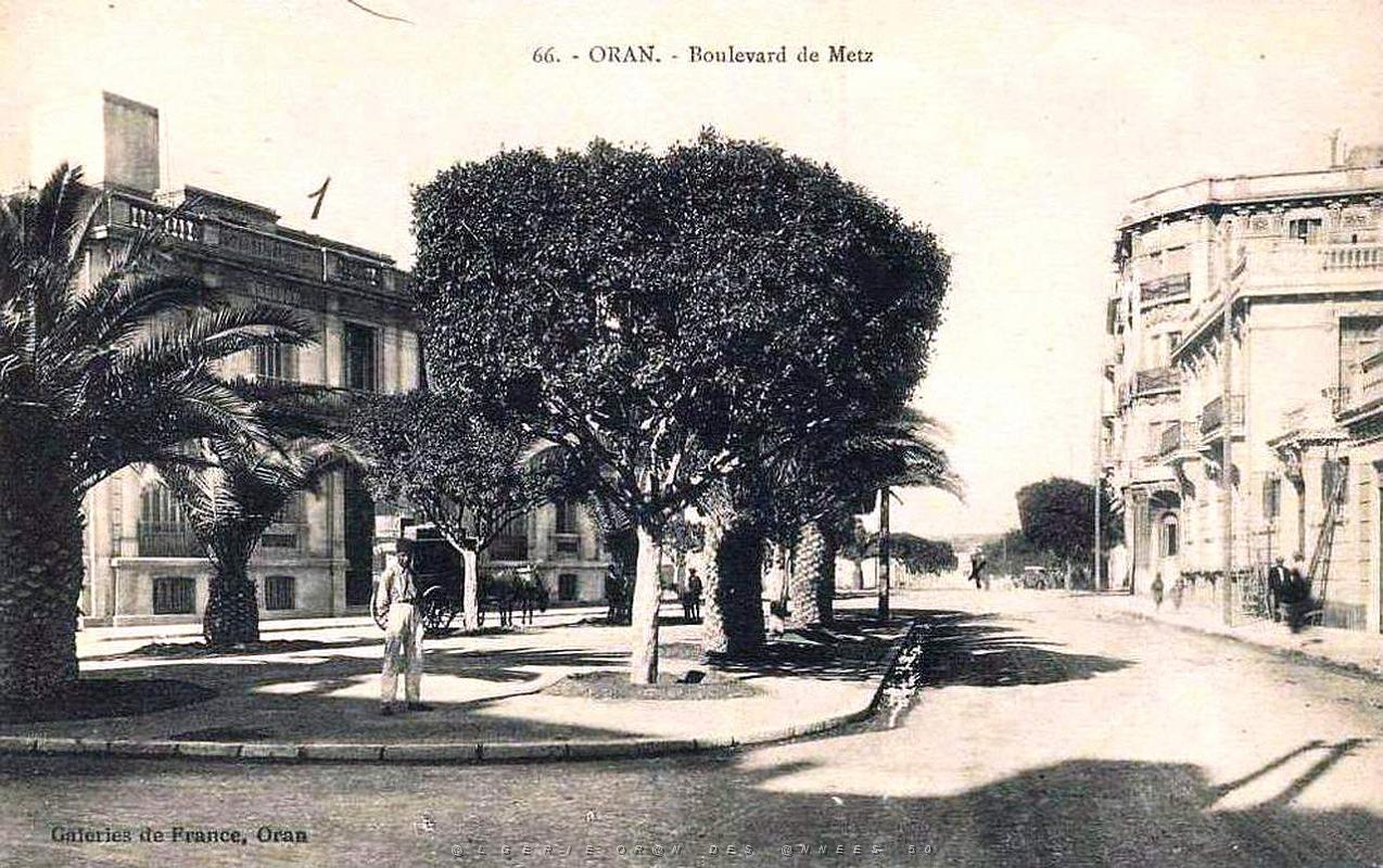 Oran - Boulevard de Metz.jpg